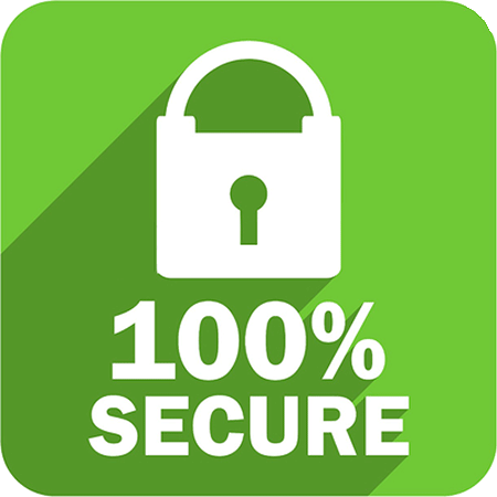 100% Secure Icon